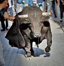 Pin By Sergio Navarro On Toros Animals Bull Beast