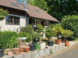 Pferdestall, stadt helmstedt, niedersachsen, germany. Reserviert Haus Mit Pferdestall Familie Beruf Und Hobby In Bayern Weiden Oberpfalz Einfamilienhaus Kaufen Ebay Kleinanzeigen