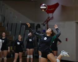 Portville trio reach milestones in QF sweep of A-L