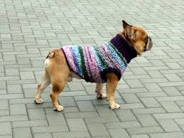 French bulldog sweaters represent an ultimate solution to warm up your frenchie on different occasions. Crochet Dog Sweaters Dog Sweaters Crochet Dog Sweater Crochet Dog
