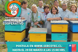 6 watchers2.2k page views11 deviations. Sercotec Abrio Programa Que Beneficia A Gremios Y Cooperativas De Todo El Pais