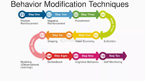 Image result for Behavior Modification