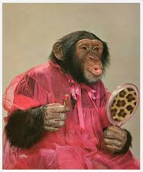 I Wonder Why He Said What A Kisser Funny Animals Italian Memes Animals And Pets