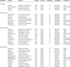 Image result for Deverra burchellii