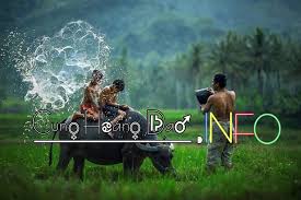 Từ khi con gái đầu lòng chào đời, tú vi và văn anh ít tham gia các hoạt động giải trí. Chi Tiáº¿t Tá»­ Vi Thang 9 Chom Sao Kim NgÆ°u