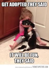 Oh God Help Me Funny Animals Cute Animals Funny Animal Pictures