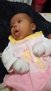 Os vídeos de Alan Bernardes (@alanbernardes8) com Muhammad