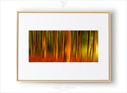 Fine Art Prints Framed Artwork Thomas Finkler Photography The most common frameable posters material is wood.
