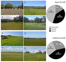 Information developed by the california dept. Diversity Free Full Text Plant Community Assembly In Invaded Recipient Californian Grasslands And Putative Donor Grasslands In Spain Html