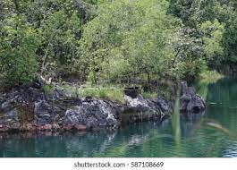 Check spelling or type a new query. View Tasik Biru Bau Kuching Sarawak Stock Photo Edit Now 587108669