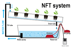 How To Grow Hydroponically Overview Of Grow Systems Hydroponics System Hydroponics Diy Aquaponics System