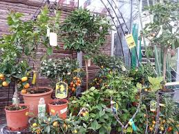 Ist nur ein liquidator bestellt, so vertritt er die gesellschaft allein. Klee Gartenfachmarkt Startseite Facebook