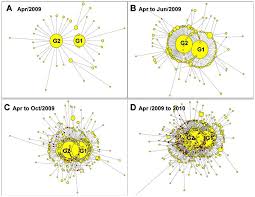 History of the virus discovery, epidemiologic data and characteristics of the virus structure were given. Mutation Network For The Ns Gene Of The Novel Influenza Virus A H1n1 Download Scientific Diagram