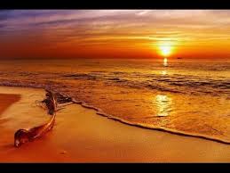 1 Hour Sleep Music Peaceful Sleep Delta Wave Sleep Therapy Deeper Sleep 101 Relaxing Music Sleep Deep Sleep Music Relaxing Music