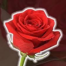 Check spelling or type a new query. Simply The Best Flowers Gifts Home Facebook