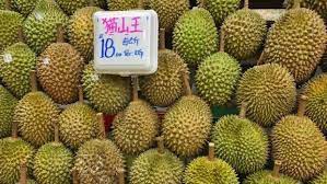 Harganya bisa melonjak saat sudah tiba di negara luar malaysia. Gara Gara Virus Corona Harga Durian Musang King Turun Drastis