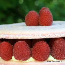 Macaron Framboise King Size Comme Un Gateau Macaron Framboise Macaron Framboise