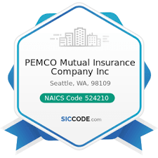 What is the lawsuit about? Pemco Mutual Insurance Company Inc Zip 98109