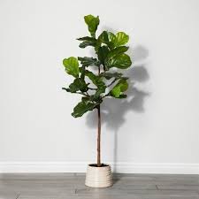 These artificial plants have a realistic look and help to pull together a living space. Artificial Fiddle Leaf Fig Tree Opalhouse Target Artificial Plants Decor Artificial Plant Arrangements Palm Leaf Plant