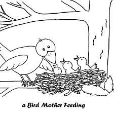 Place a few spoonfuls of the mixture in each. If Your Lovely Kiddos Are Animal Lovers Then We Suggest You To Hand Them Bird Nest Coloring Page Bird Coloring Pages Free Coloring Pages Animal Coloring Pages