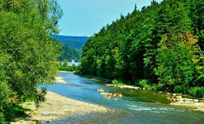 Dacă încă nu ați rămas impresionați de frumusețea bucovinei și a județului suceava, vă recomand să încercați și traseele turistice din stațiunea gura humorului. Obiective Turistice Gura Humorului Destinatii Info