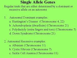 Which pair of alleles would represent a heterozygous fly? Human Genetics Patterns Of Inheritance For Human Traits