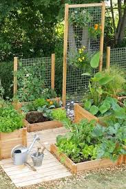 23 astuces de maraicher pour reussir son premier potager jardin en carre faire un potager idees jardin