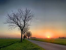 Maybe you would like to learn more about one of these? Le Soleil Devrait Enfin Pointer Le Bout De Son Nez Belgique 7sur7 Be