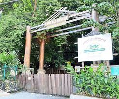 Hutan simpan bukit nenas ini adalah hutan simpan yang paling tua di semenanjung malaysia. China S Vanke Assures Protection Of Kl Forest Eco Park The Star