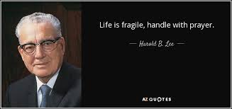 I enjoy life, and i think that's important. Top 25 Fragile Quotes Of 732 A Z Quotes