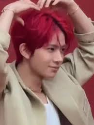 Seoul Ditto Pokemon Popup