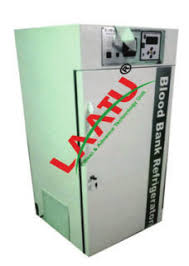 Image result for Leucas calamostachys