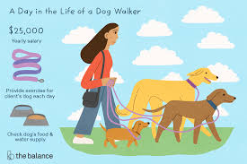 Luckily, with petbacker, you can easily find local and trusted pet sitters from to do drop in visits. Dog Walkers Take Dogs Out For Their Needed Exercise The Job Can Be A Good Fit For Those Who Want Independent Flex Dog Walker Pet Sitting Business Pet Sitters