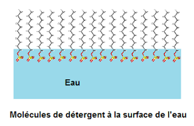 Reproduire une molécule d'ambroxan, l'un des ingrédients de parfumiers les plus anciens et les plus suprenants.</p> <p>la plupart des parfums sont soigneusement élaborés à partir d'une multitude de composants, parfois plus d'une centaine. Taille D Une Molecule D Huile Partager Taille Bonne