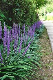 Keep the flagstones or other flat stones close select a ground cover that grows in the shade provided by your gazebo. The 15 Best Flowering Ground Covers For Yard Gardener S Path