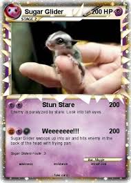 Accompany nemo as he attempts to find his way home from a fish tank with these finding. Pokemon Sugar Glider 5