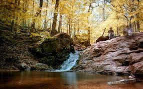 Patapsco State Park Trail Map Cascade Falls Trail Hiking Trail, Ilchester, Maryland