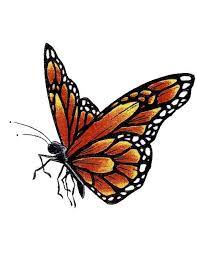 Orange Monarch Butterfly Tattoo Monarch Butterfly Tattoo Butterfly Tattoo Designs Butterfly Drawing