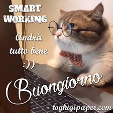 Buongiorno Nuove Immagini Gratis Per Facebook E Whatsapp Toghigi Paper Buongiorno Divertente Citazioni Sui Gatti Buongiorno