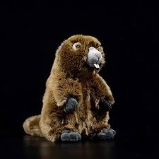 Unfollow real stuffed animals to stop getting updates on your ebay feed. Amazon Com Zhenxin Plush Toy Soft Lifelike Marmot Stuffed Toys Real Like Groundhog Plush Toy Realistic Wild Animals Prairie Dog Plush Toys Gifts Pet Supplies