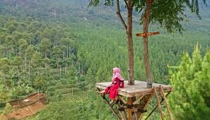 Dia punya satu foto favorit yang diambil oleh kate. Kulonprogo Kembangkan Destinasi Baru Ayunan Langit Watu Jaran Travel Tempo Co