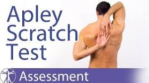 Image result for Fluid Wave Test