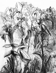 Jim Dine Flowers I3 Jpg 500 649 Pixels Jim Dine Elements Of Art Monochromatic Art