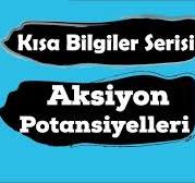 Polarizasyon , Depolarizasyon ve Repolarizasyon (Kısa Bilgiler Serisi)