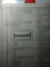 Gondang terbuat dari kayu yang dilapisi dengan kulit sapi atau kerbau. Nama Alat Musik Pada Gambar Adalaha Saronb Kendangc Angklungd Bonanh Brainly Co Id