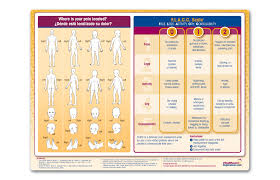 Image result for FLACC Scale