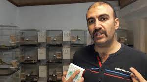 muhabbet kuslarinda ic parazit ve tedavisi youtube