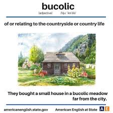 Pin By Priya Rajaram On English Vocabulary Advanced English Vocabulary English Vocabulary English