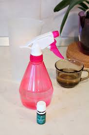 Homemade Fridge Odor Remover Spray Tutorial Fridge Odor Odor Remover Homemade Cleaning Products