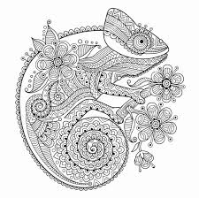 Animal Pattern Coloring Pages Beautiful Chameleon Zentangle Coloring Page Colorir In 2020 Pattern Coloring Pages Coloring Pages Mandala Coloring Pages